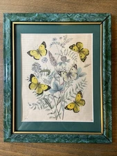 Vintage Butterfly PRINT  1852 Number 39 Framed