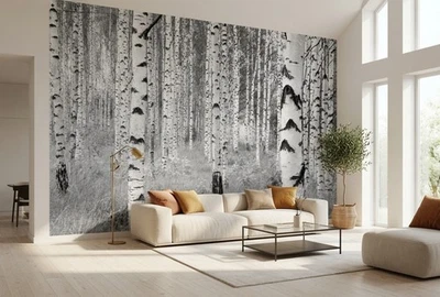 Komar Fototapete Birkenwald Schwarz Weiß 368x248cm Vlies, Vliestapete - Bild 1 von 4