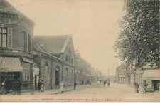 LOIRET PITHIVIERS La recolte du Safranieres