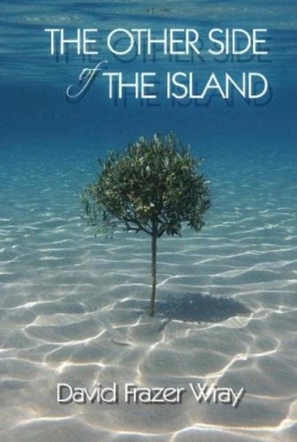 The Other Side Of The Island by David Frazer Wray PAPERBACK 9781914399657
