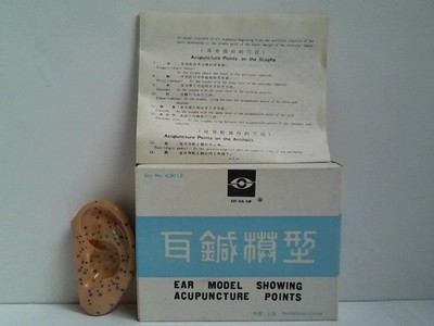 Ear Model Showing Acupuncture Points, Ohrmodel mit Akupunkturpunkten