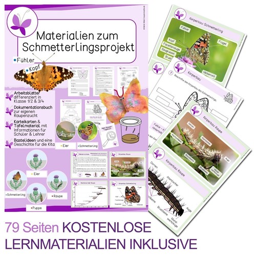 Set de cría de mariposas para entusiastas de la naturaleza y exploradores curiosos 🔍🐛🦋 - Imagen 9 de 16