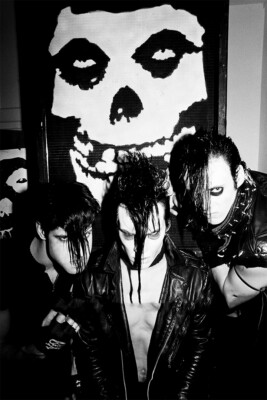 The Misfits Rock Music Band Rock Group Star Wall Art Home Decor - POSTER 20x30