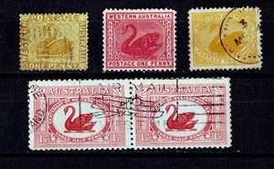 WESTERN AUSTRALIA, 1885-1912 5 used Swans. never checked WM