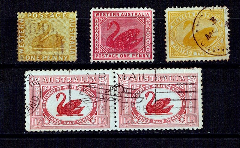 WESTERN AUSTRALIA, 1885-1912 5 used Swans. never checked WM