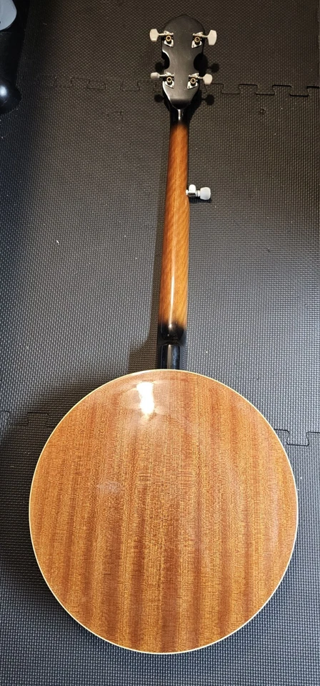 Banjo para diestros Rogue de 5 cuerdas - Remo Weatherking Banjo solo cabeza  Foto 4 de 4