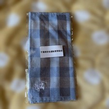 Rugby Ralph Lauren Checkered Handkerchief - New Condition