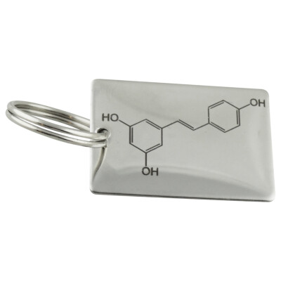 Wine Molecule Engraved Stainless Steel Rectangle Key Chain 1.4 x 1'' Science Gift