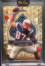 2025 Wild Card Rob Gronkowski 1/1 Gold Vinyl