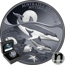 Großer Tümmler Dolphin 2025 Niue 1 Oz Silber BLACK PROOF Australien bei Nacht