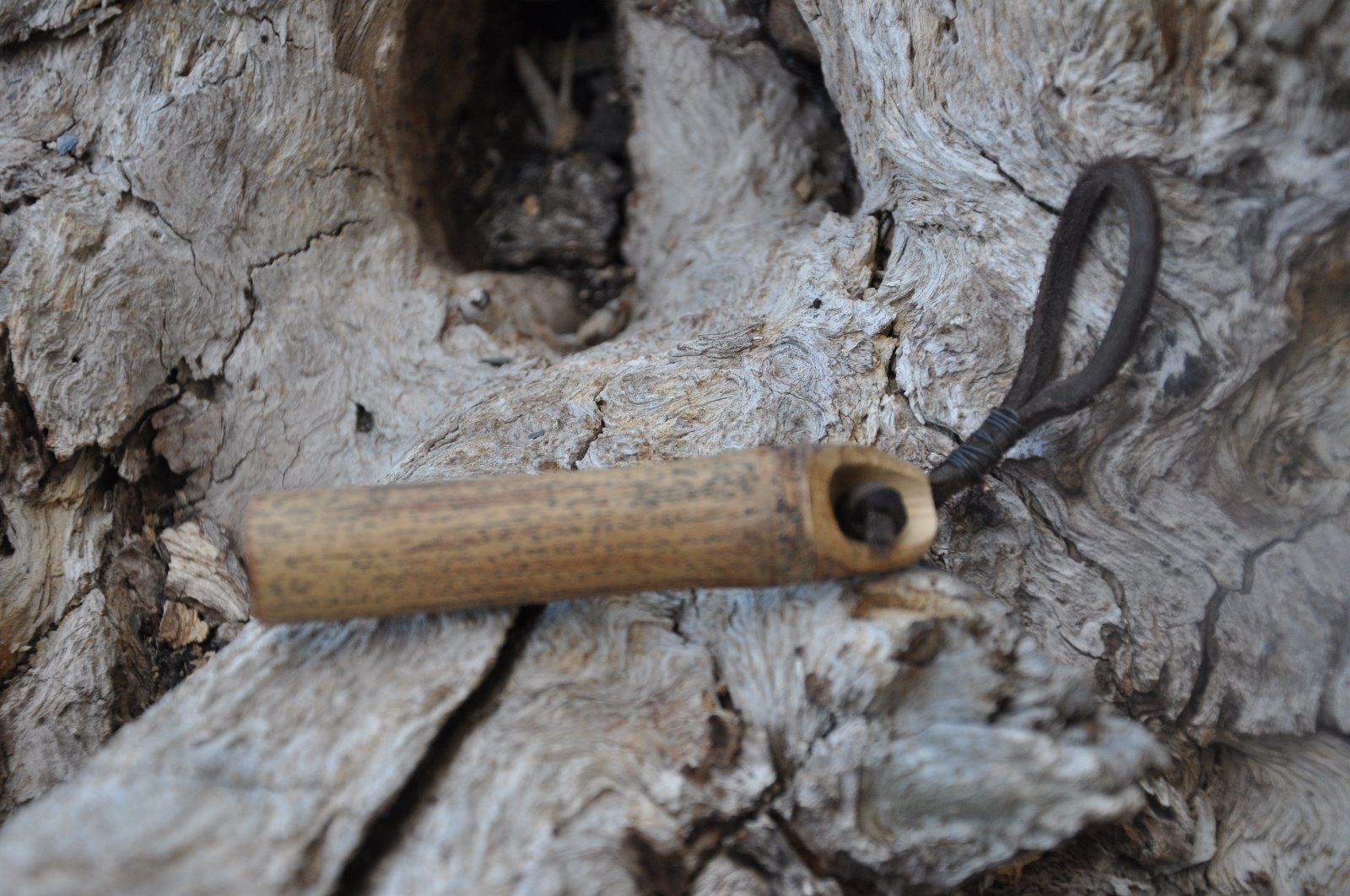 Handmade River Cane Powder Measure with wired leather wang | eBay