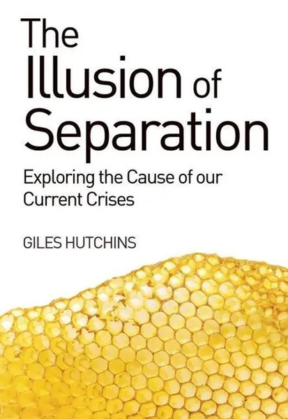 Giles Hutchins | The Illusion Of Separation | Taschenbuch | Englisch (2014)-image