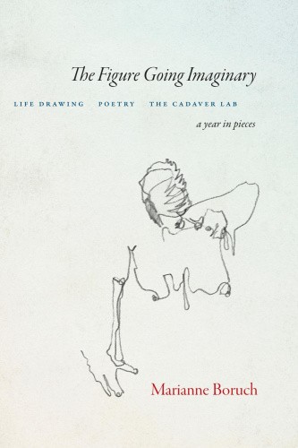 The Figure Going Imaginary: Life Drawing, Poetry, the Cadaver Lab; A Year in