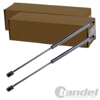 2X Nty Gasfedern KOFFERRAUM-LIFTER Passend FüR Audi A4 Ford Focus | AE-FR-041