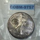 1996 Silver Eagle UNC Toned .999 Silver 1 Troy Oz Great Coin See Pics COBM-9757