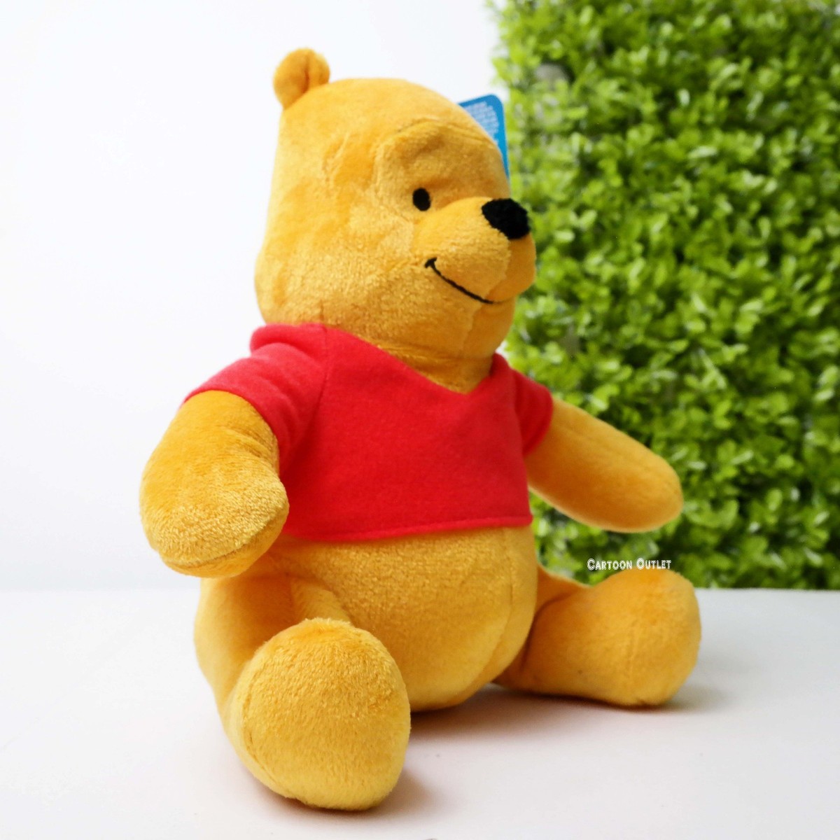 Disney Winnie The Pooh 8