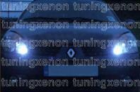 Ampoule Renault MEGANE