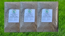 Kentucky Bluegrass Grass Seed - 9 lbs - Direct from Grower - No fillers