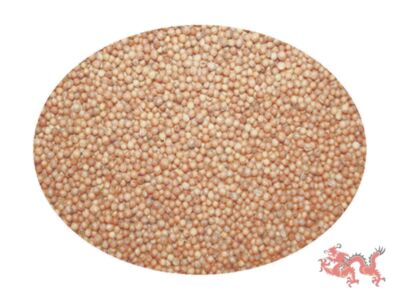 Koriander Saat ganz 1kg Coriander Samen 1000g AZX714 Premium Qualität Preis Tipp