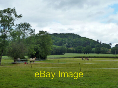 Photo 6x4 Horses grazing Peartree Green The backdrop is Breakneck Hill, c c2011