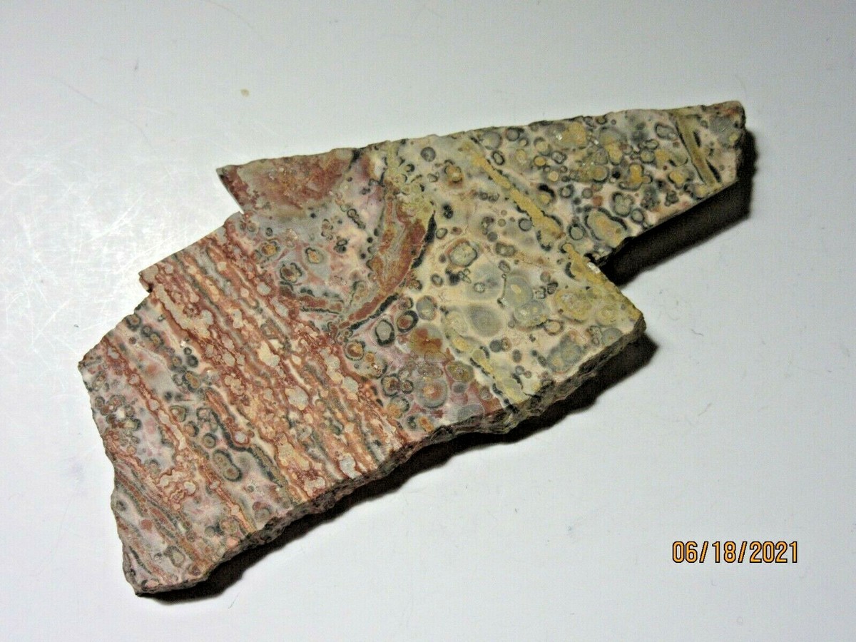 ジェフジレット＆ロウムカウチ GALLERY KAWAMATSU