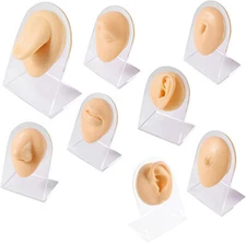 Soft Silicone Model Body Part Displays Set for Piercings Sold Individually