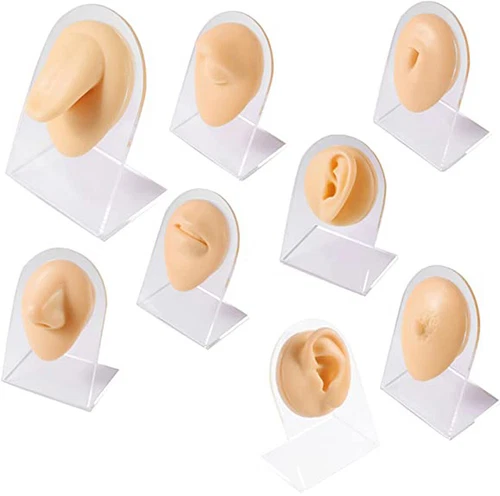 Soft Silicone Model Body Part Displays Set for Piercings Sold Individually - product listing photo
