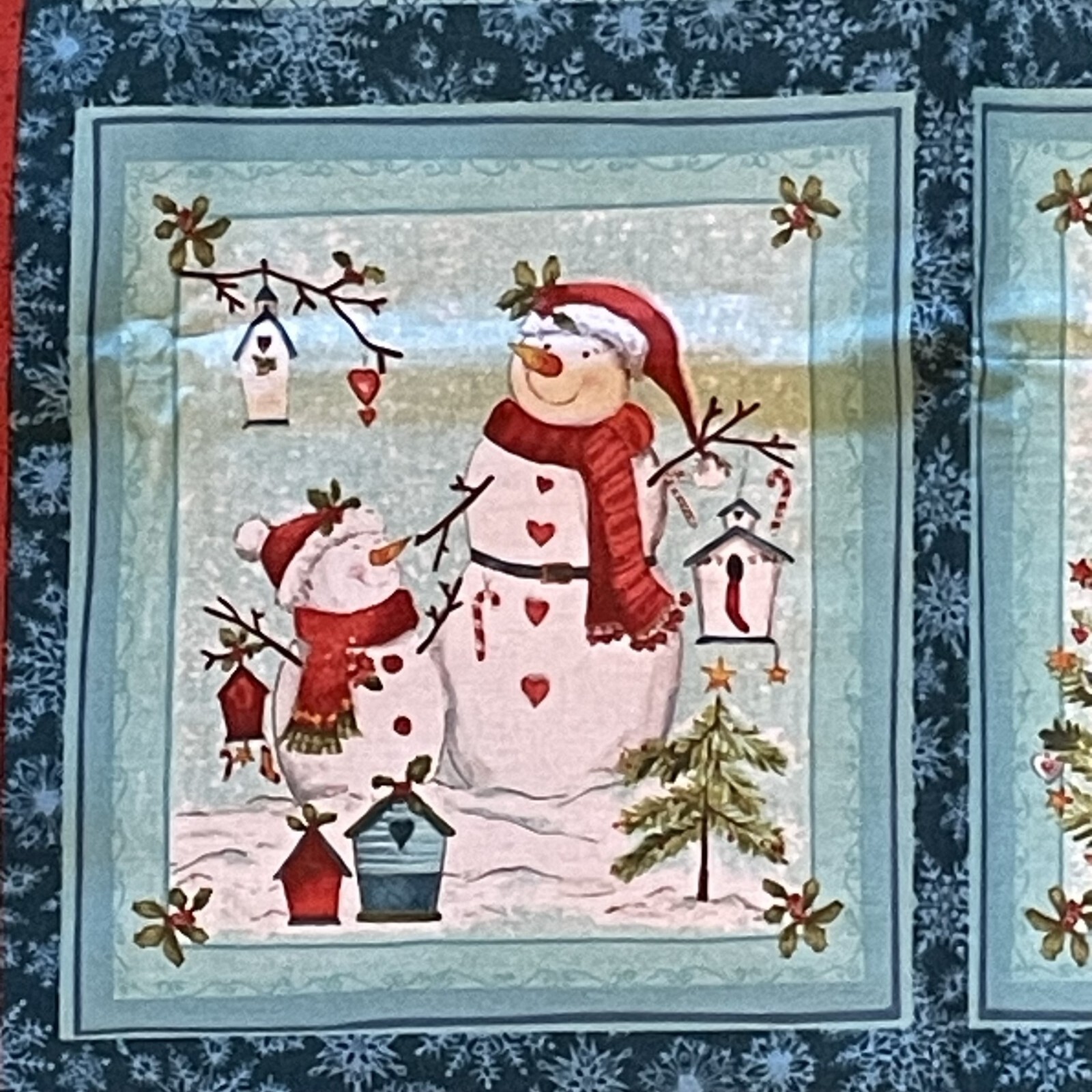 Picture 5 of 12