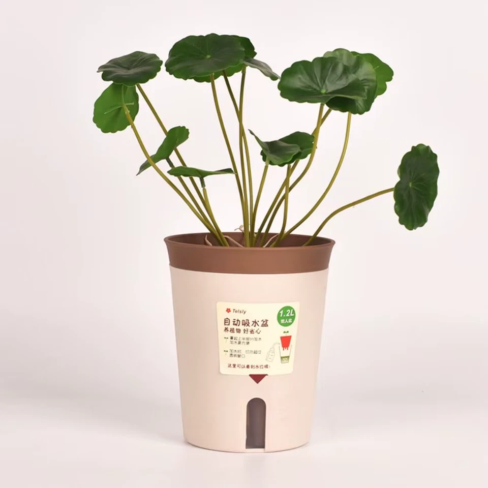 Maceta hidropónica perezosa auto riego plástico decoración oficina autoabsorbente Foto 4 de 4