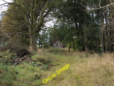 Foto 12x8 Ruine unter Bäumen Windy-Yett\/NS4750 um 2014