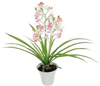 Kunstblume Orchidee 40Cm Mit BläTtern & Luftwurzeln Im Topf Deko Hochzeit