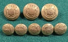 Maryland State Seal Button Lot – 8 Pc Post-Civil War Waterbury