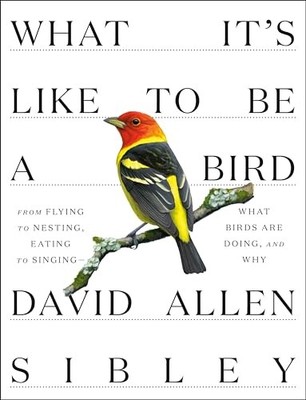 What It's Like to Be a Bird: From Flying to Nesting, Eating to Singing--What...