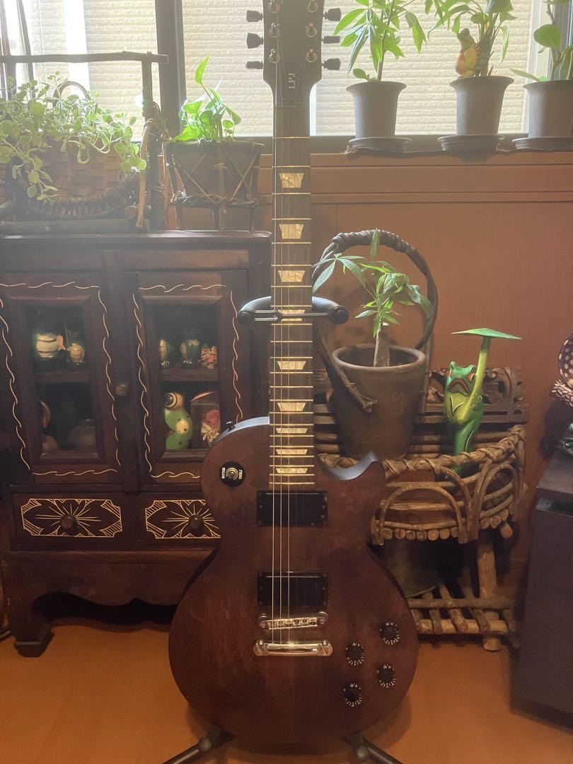 Gibson LPJ Chocolate Satin 2013年製 Gibson LPJ - Chocolate Satin | Sweetwater