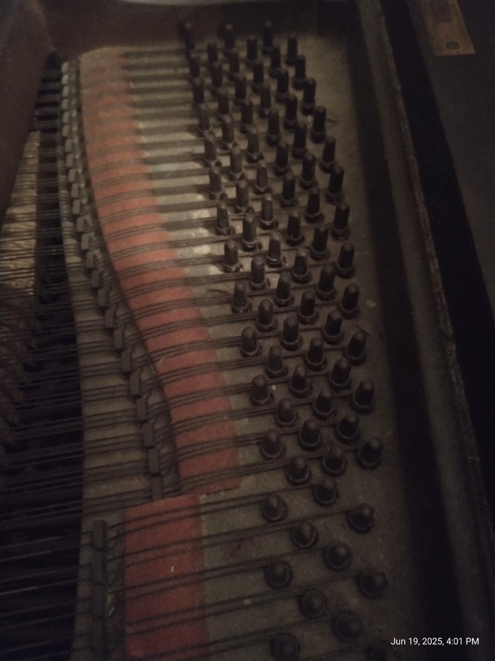 AB CHASE vintage BABY GRAND PIANO WITH BENCH in Tiger Mahogany - Image 4 of 4
