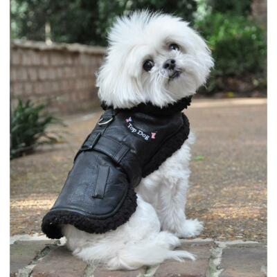 dog flight jacket