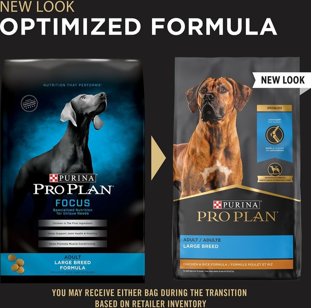 purina large breed dog food