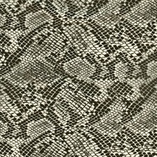Hydrographics Dip Hydrographic Film Water Transfer Printing Gold Snake 16-31-A