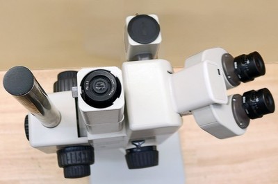 Nikon SMZ-U Stereo Zoom Microscope with Dual Camera ports | eBay