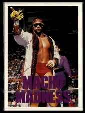 1989 Classic WWF #126 