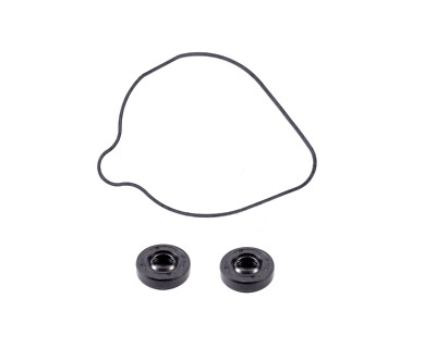 Wasserpumpe Reparatursatz für BMW F 650 GS 2001-2008 (Wasserpumpendichtung & Öldichtung)