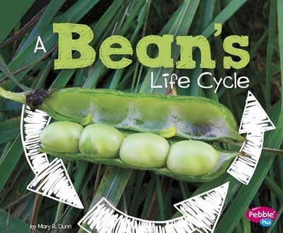 Bean's Life Cycle by Mary R. Dunn (2017, Trade Paperback)