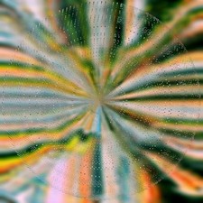 Nils Hoffmann - Nils Hoffmann - Everlight [vinyl] [VINYL]