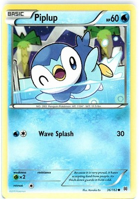 Piplup - 36/162 - Common - Near Mint