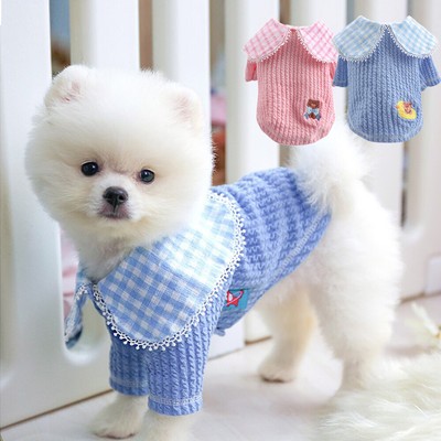 pomeranian sweater