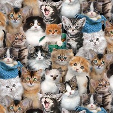 Feline Drive Fabric CAT BREEDS Packed Kittens Multi - Sold by the Yard