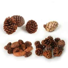 20PCS Natural Pine Cones Decorations Christmas DIY Tree Pendant Decor Xmas Craft