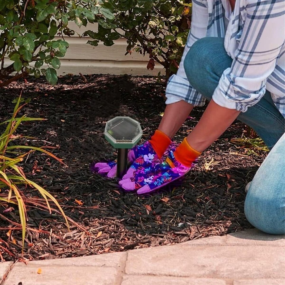 4 St&uuml;ck Solar Maulwurfschreck W&uuml;hlmausschreck Maulwurf Maulwurffalle Abwehr Maus