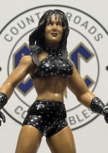 WWE Chyna Action Figure | eBay