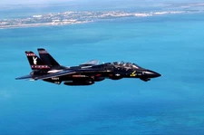 F-14 TOMCAT BLACK W/ PLAYBOY BUNNY 8x12 GLOSSY PHOTO PRINT